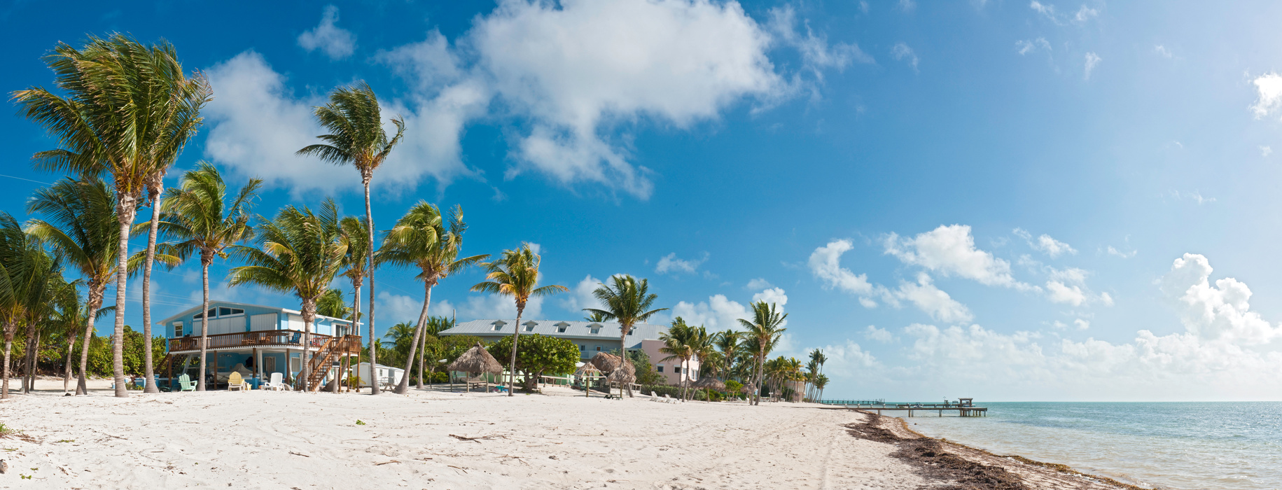 Tropical beach home palm panorama